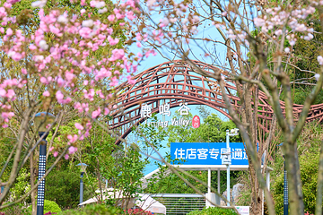 江西鹿鸣谷度假区第 7 张图片