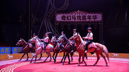 华夏文旅海洋公园第 27 张图片