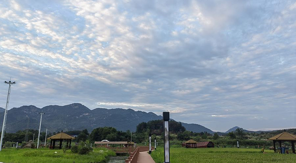 黄梅香樟园旅游区