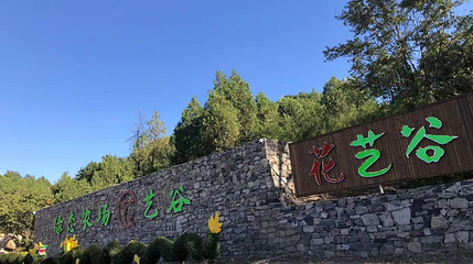 花艺谷第 1 张图片