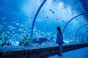 南海海洋亲子乐园