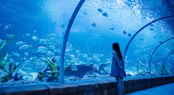 南海海洋亲子乐园