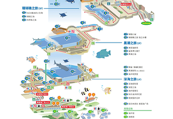 冲绳美丽海水族馆第 5 张图片