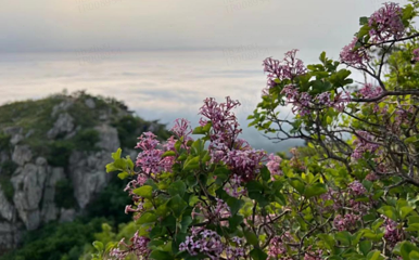 大黑山景区第 40 张图片
