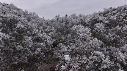 天门山国家森林公园第 383 张图片