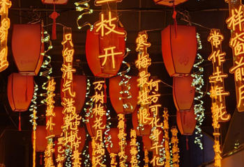郑州黄河梅园第 12 张图片