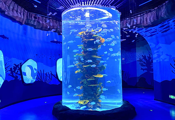 襄阳海洋世界第 16 张图片