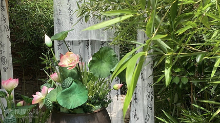 刺桐花续簪花写真第 5 张图片