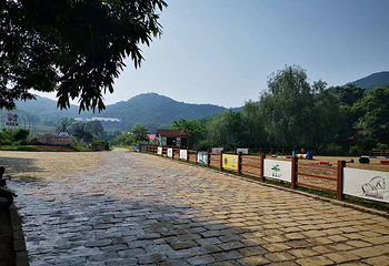 蓝莓谷庄园第 7 张图片