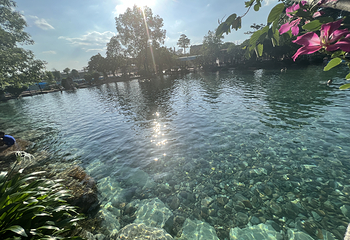 冷泉荟旅游度假区第 70 张图片