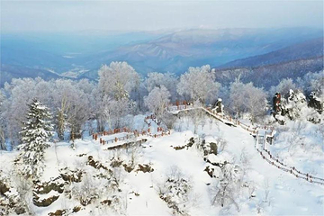雪乡狗熊岭景区第 16 张图片