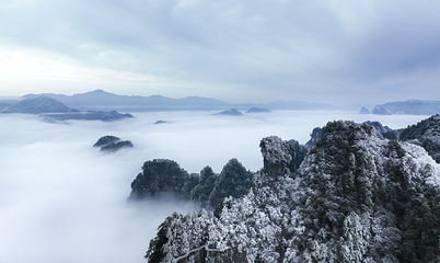 光雾山旅游景区第 59 张图片
