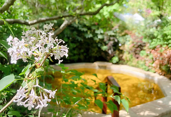 临潼悦椿温泉第 43 张图片
