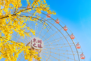 东湖之眼樱花主题乐园第 27 张图片