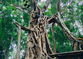 基诺山巴朵幽谷雨林徒步