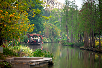 江门古劳水乡旅游区第 28 张图片