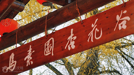 乌素图杏花谷第 9 张图片