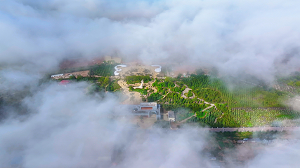 陕西红碱淖风景区第 36 张图片