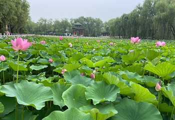 岐山湖风景区第 30 张图片