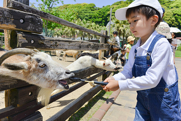 九十九岛第 20 张图片