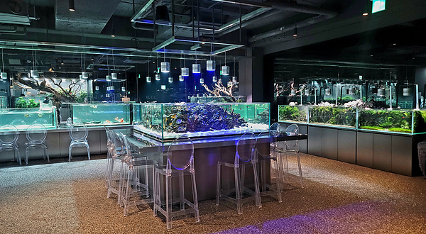 水上花园咖啡厅(加平店)