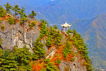 秦岭天竺山生态文化旅游景区第 49 张图片