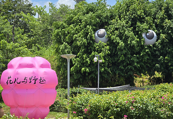 海花岛珍奇特色植物园第 42 张图片