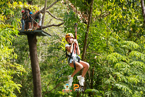 飞象海景丛林飞跃