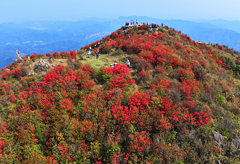 新兴天露山旅游度假区第 83 张图片