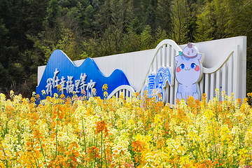 高岭文化村第 26 张图片