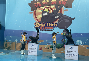 临汾海昌海洋探索馆第 54 张图片