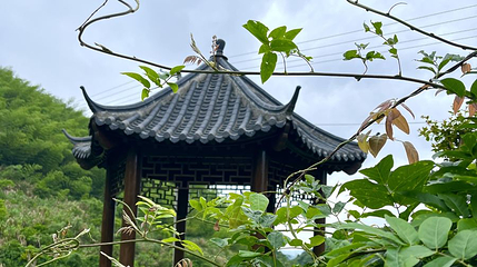花花世界大观园第 1 张图片