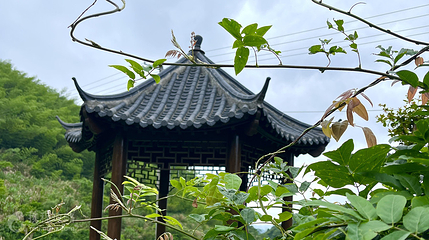 花花世界大观园第 6 张图片