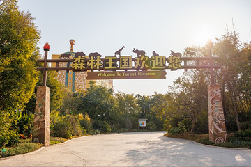 清远长隆森林王国第 9 张图片
