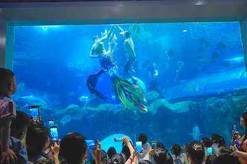 长沙海底世界第 37 张图片