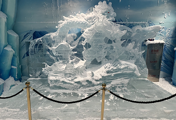 泰迪寰球冰雪世界第 13 张图片