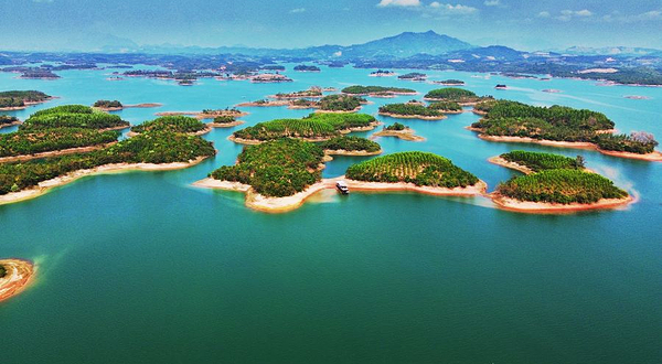 Perfect Journey Travel - Cruises