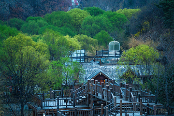 九如山休闲旅游度假区第 175 张图片