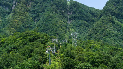 米仓山国家森林公园第 44 张图片