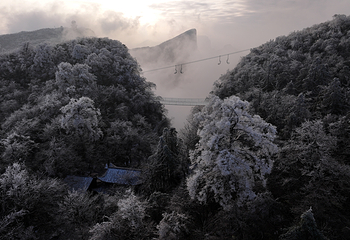 天门山国家森林公园第 370 张图片