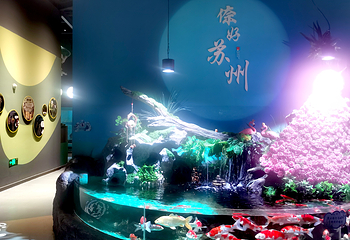 苏州海昌海洋探索馆第 26 张图片