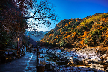 燕子河大峡谷第 12 张图片