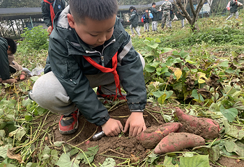 格林庄园第 38 张图片