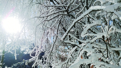 大别山滑雪旅游度假区第 31 张图片