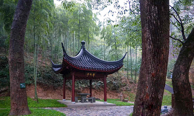 东明山森林公园第 20 张图片