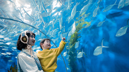 上海海洋水族馆第 19 张图片