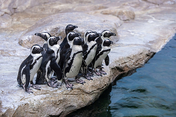 河内乐天世界水族馆第 6 张图片