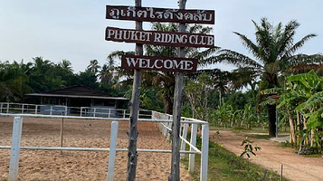 普吉骑马俱乐部