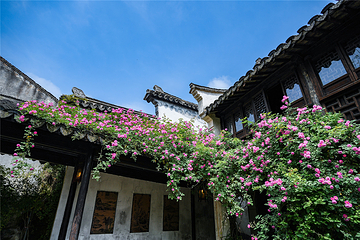 惠山古镇·寄畅园第 61 张图片
