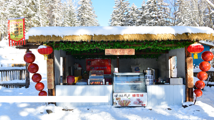 雪乡大雪谷第 42 张图片